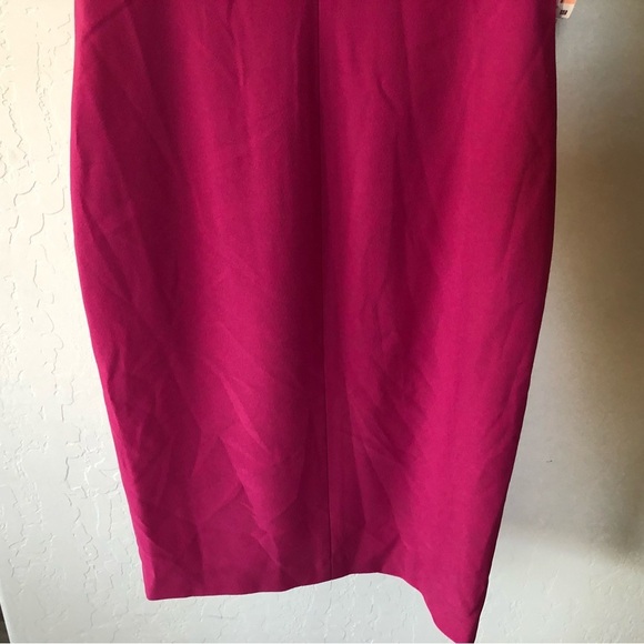 Anne Klein|Pink barbiecore feminine midi dress with mesh border, NWT•••Feminine - Picture 4 of 12